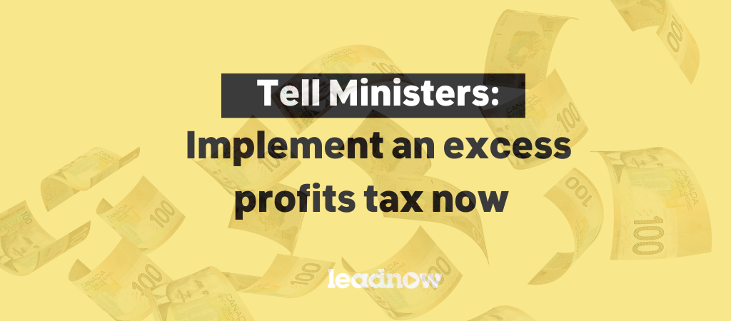 Implement a corporate profiteering tax now